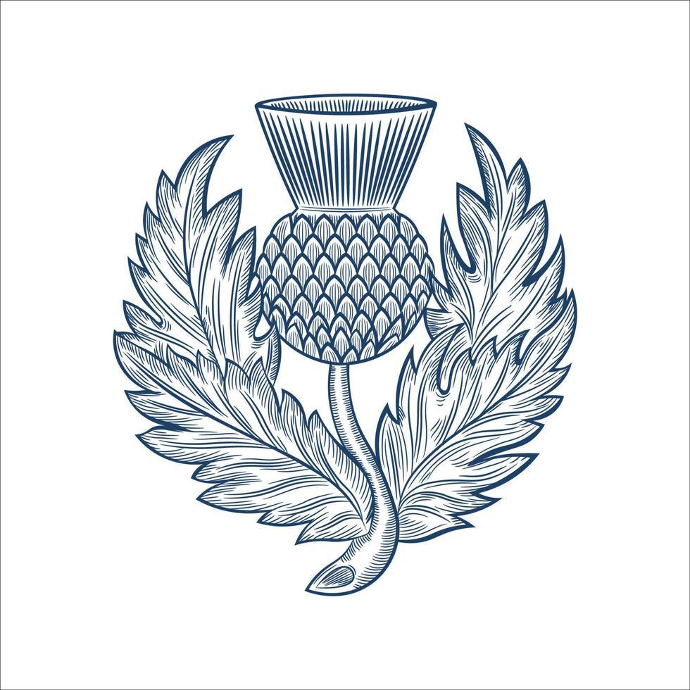 Military scottish thistle emblem badge design vector illustration, in hand drawn style