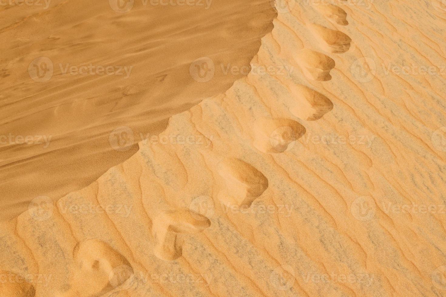 Footprints in a desert with red sand. photo