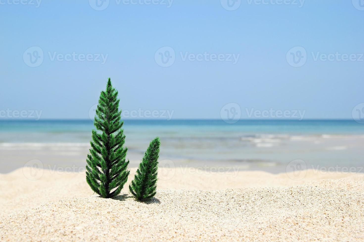 Two Christmas trees on the white sand beach on the background of blue sea and sky on a sunny day, with copy space. photo