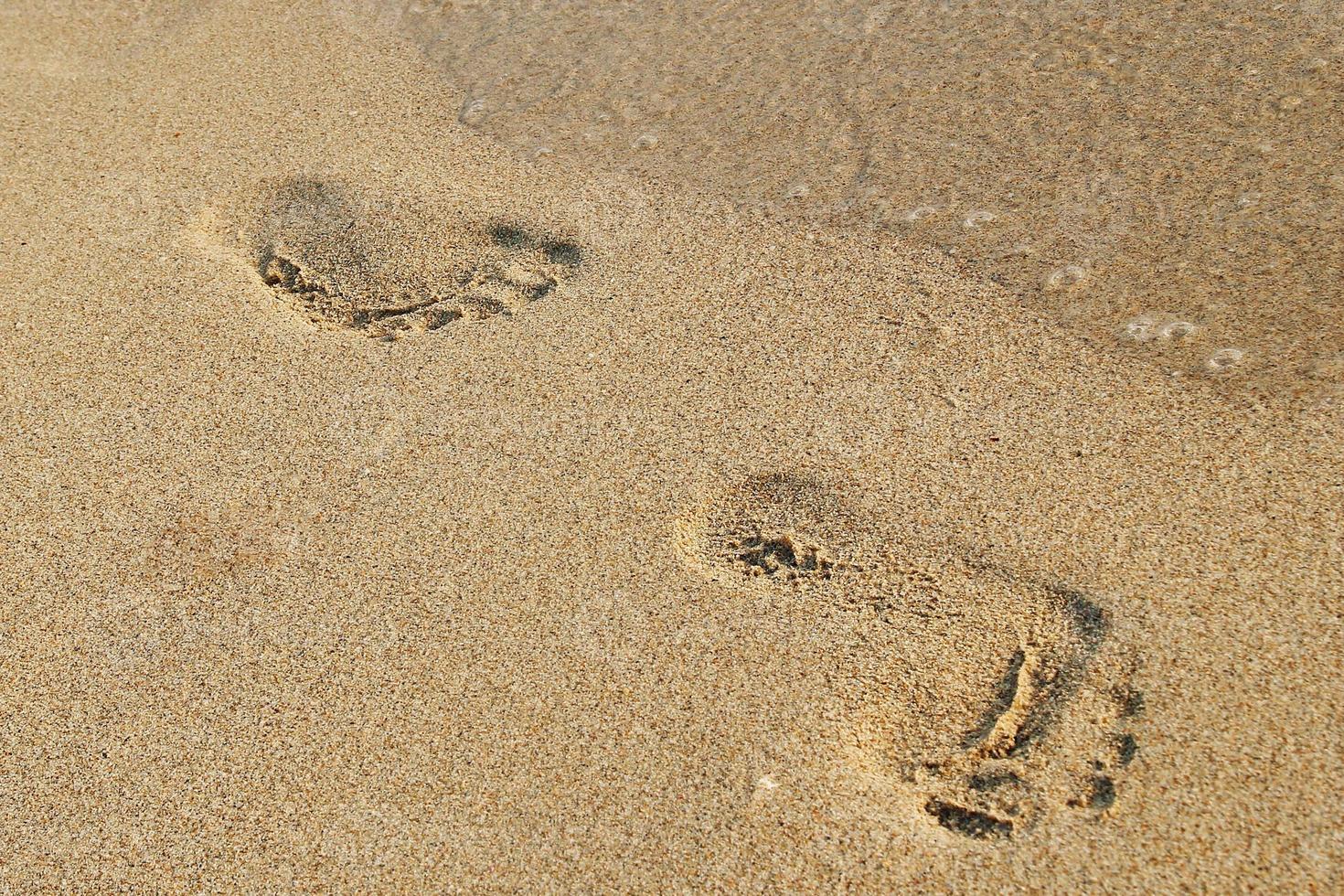 The footprints on the sandy beach near to sea. photo