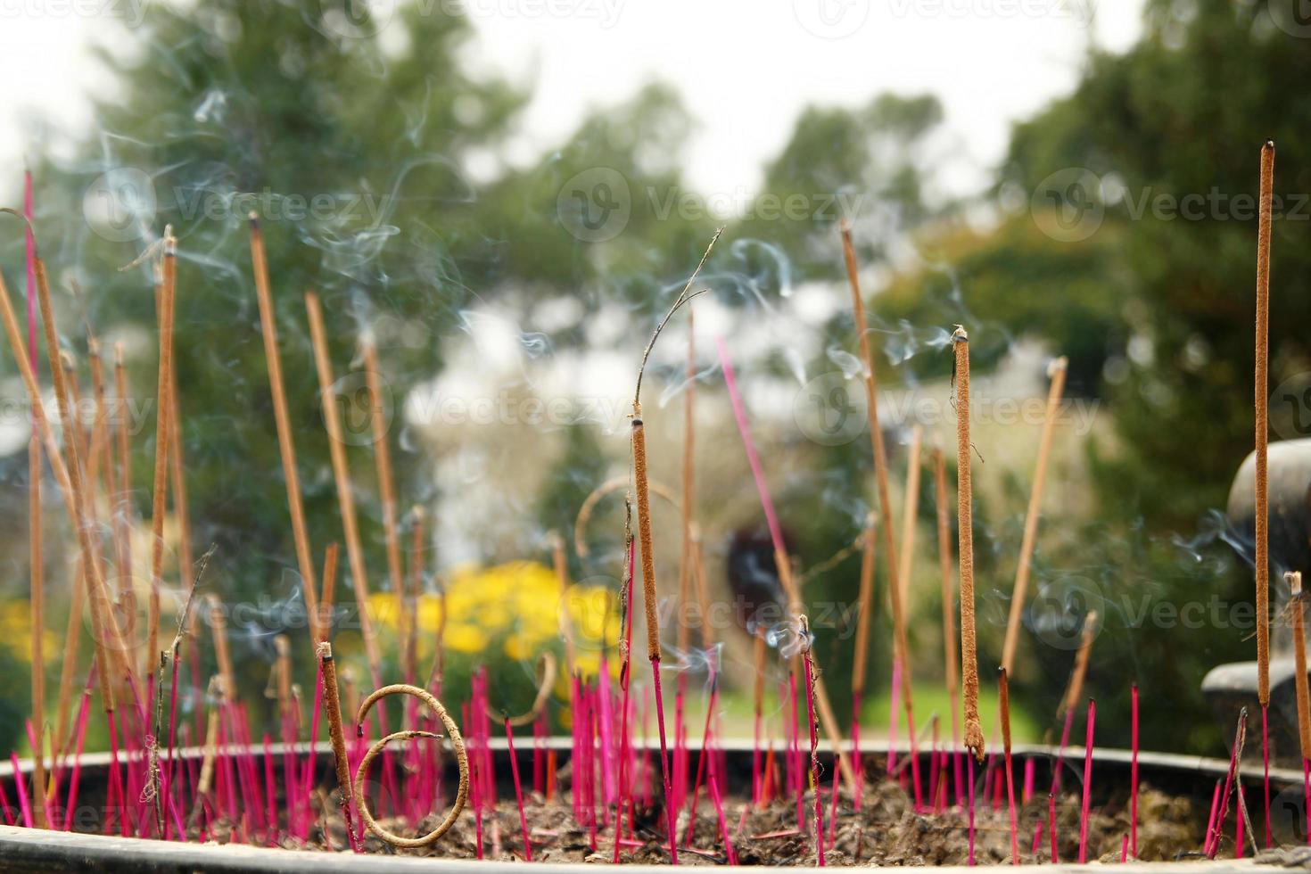 Aroma sticks near to the temple on a background of garden with yellow flowers. Hue, Vietnam. photo