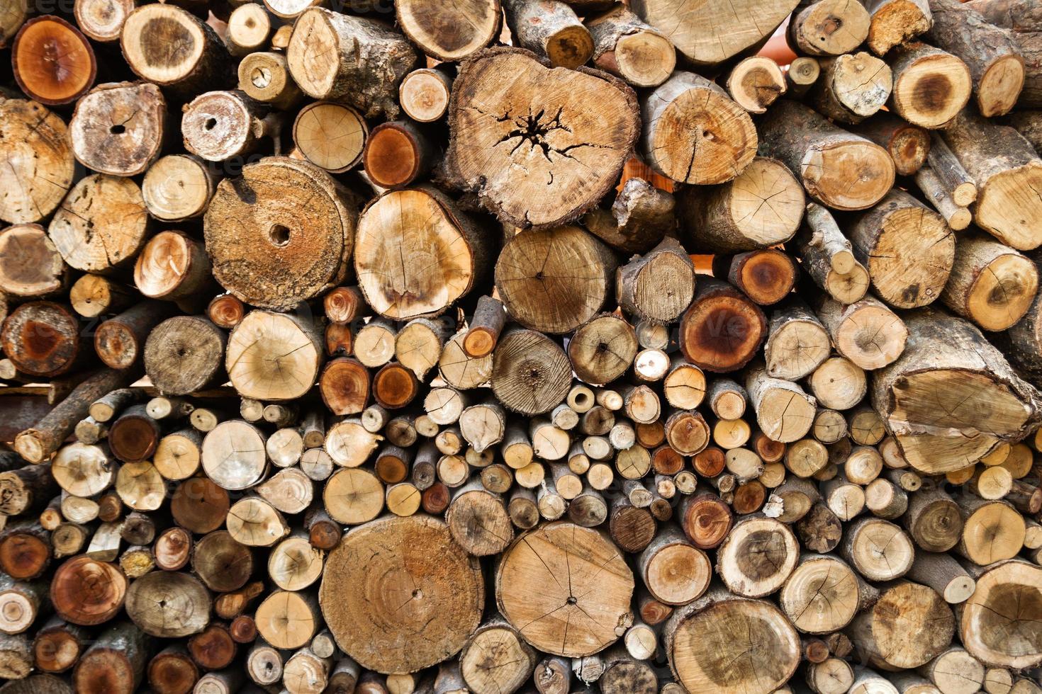 pared de troncos de leña picados secos apilados uno encima del otro en una pila. fondo de madera con textura. foto