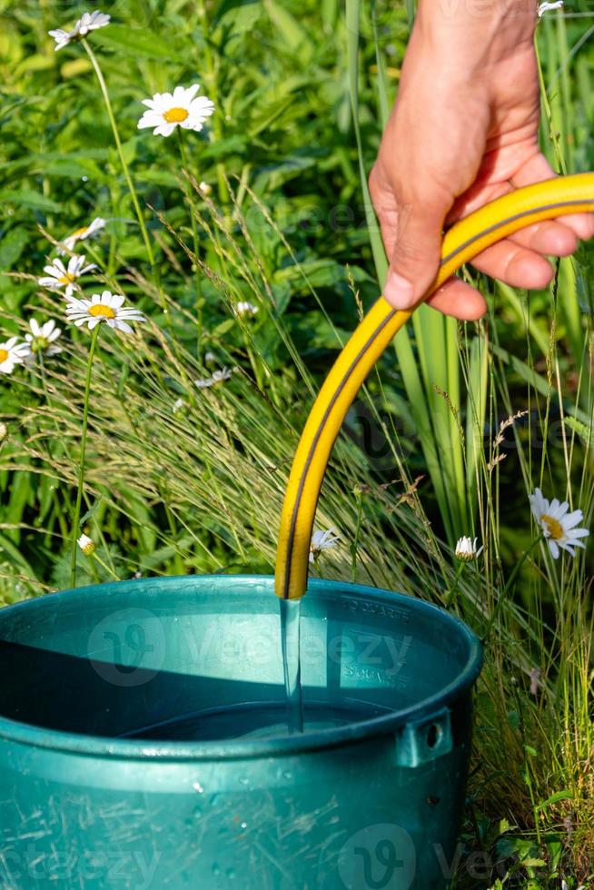 A bucket of water and a hand with a rubber hose for watering in the