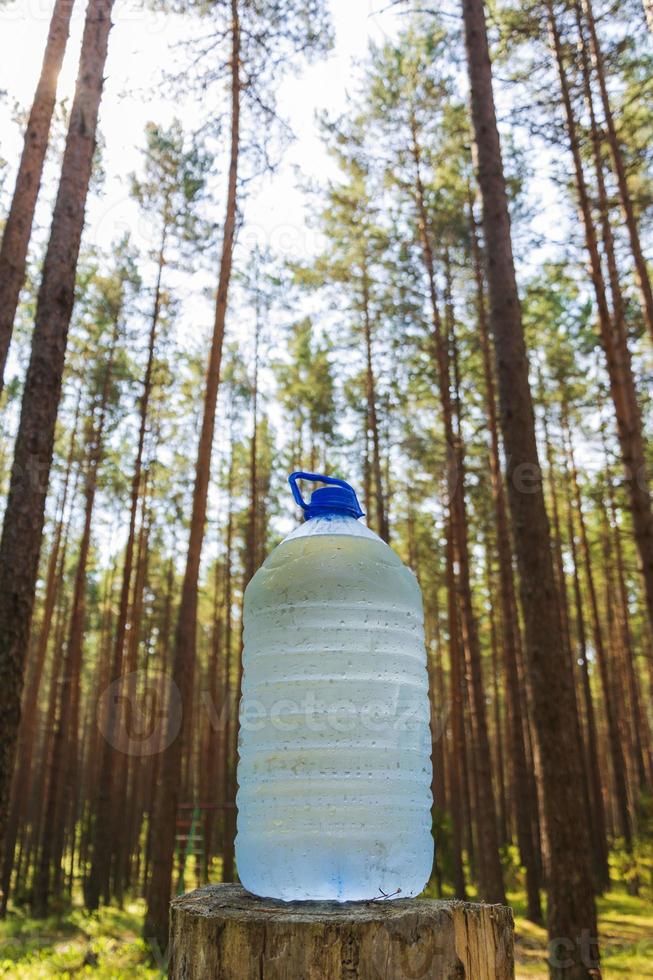 una botella grande de agua potable fresca y limpia está parada en un tocón en el bosque foto