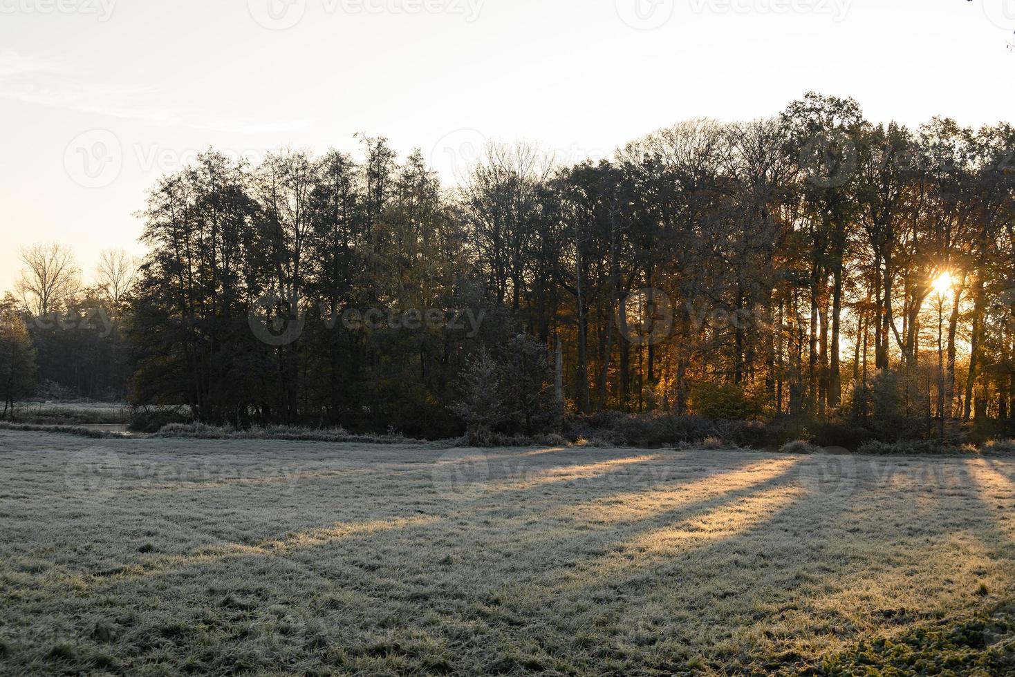 autumn at a castle in westphalia photo