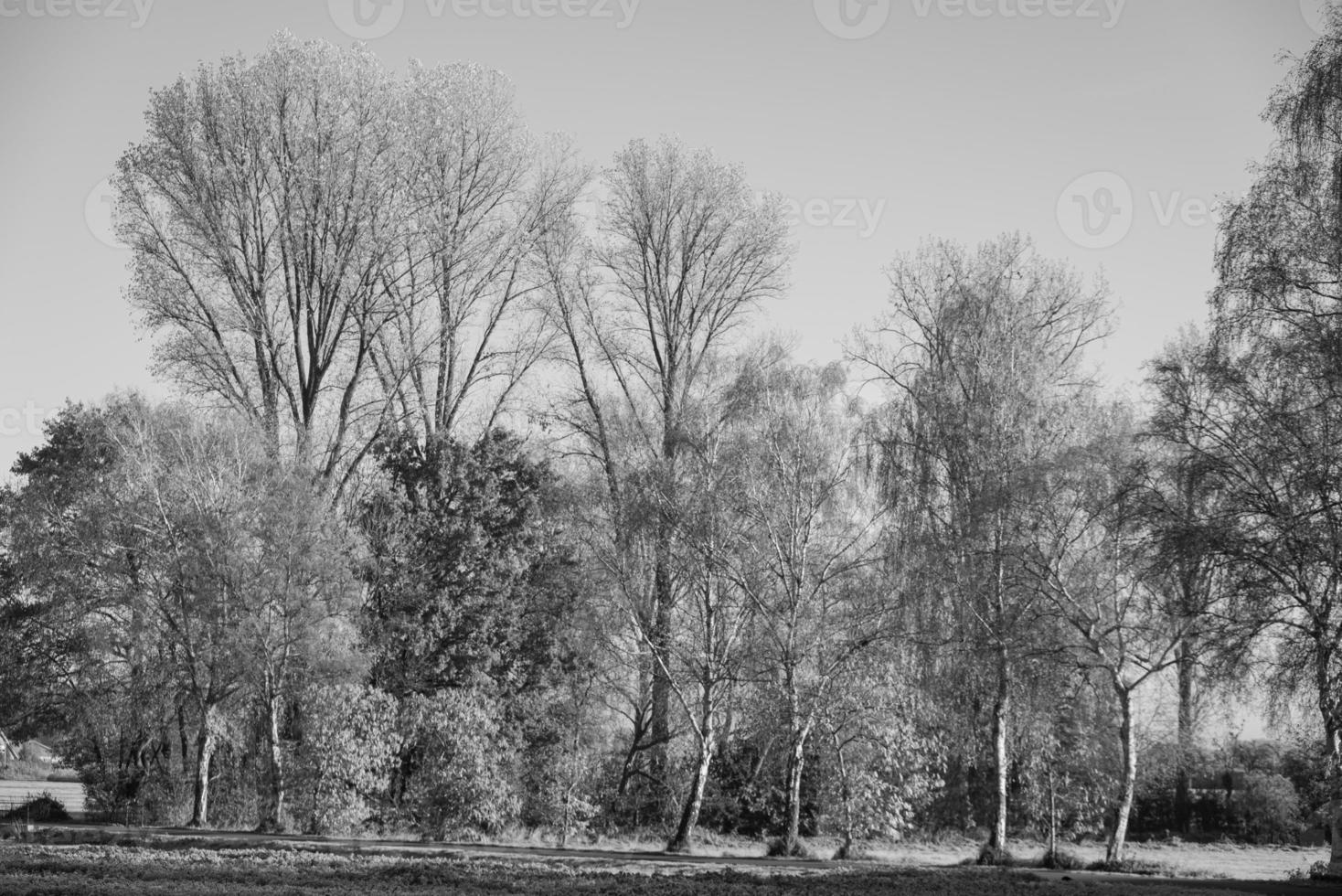 at a castle in westphalia photo