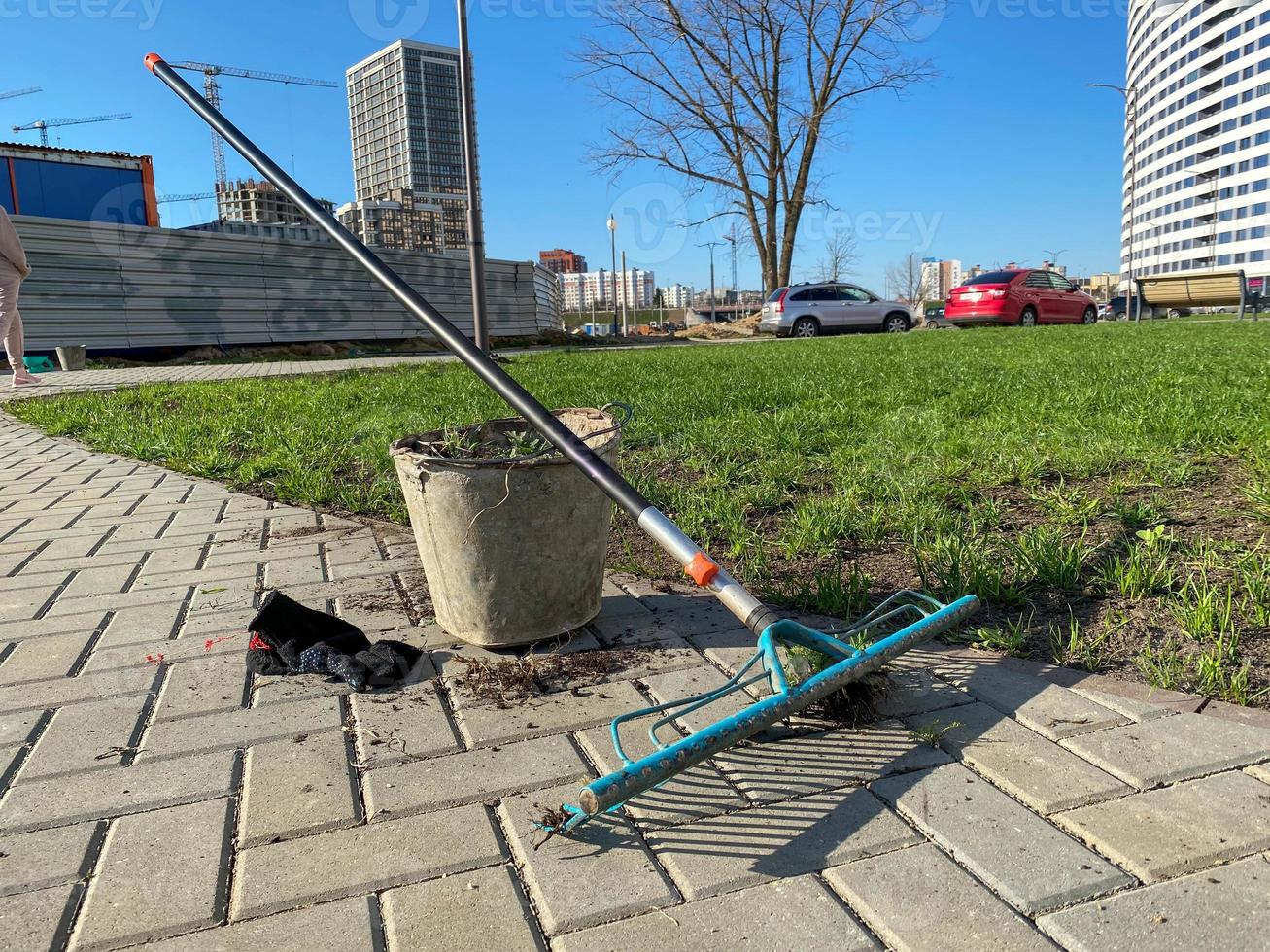 A bucket and a rake are prepared for cleaning and gardening near the lawn in the yard of the house. Garden tools photo