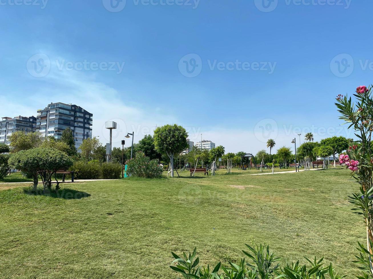 nuevo y hermoso parque moderno con plantas verdes, árboles tropicales y arbustos. lugar de descanso en la ciudad foto