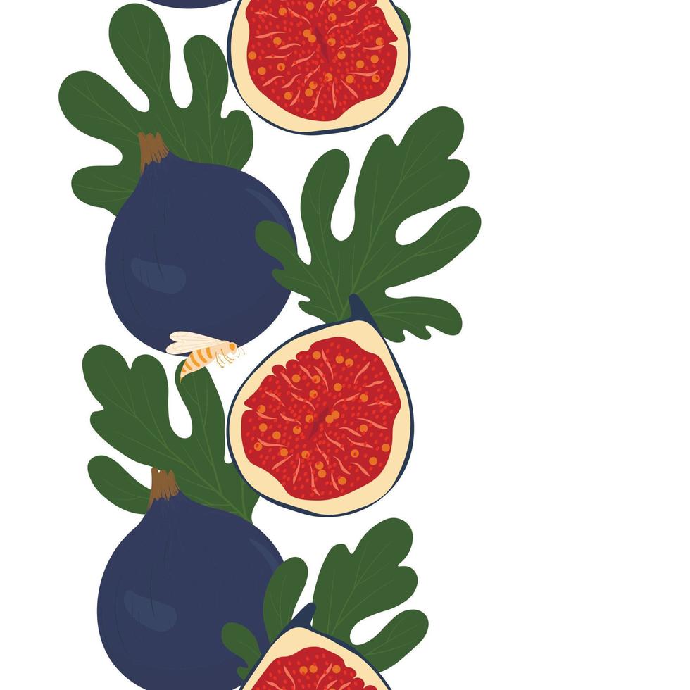 frutos de higo en una rama. ilustración vectorial patrón sin costuras papel tapiz de verano, frutas maduras, jugosas y dulces. vector