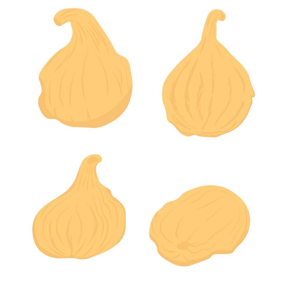 Dried figs vector stock illustration. Dried sweet fruit. A healthy dessert. Isolated on a white background.