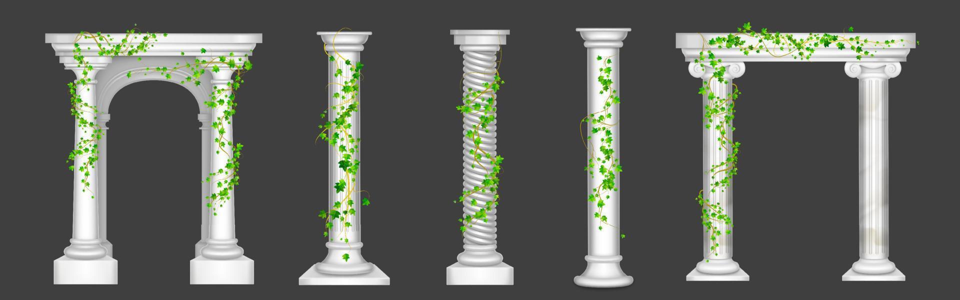 Ivy on marble columns and arches, green vines vector