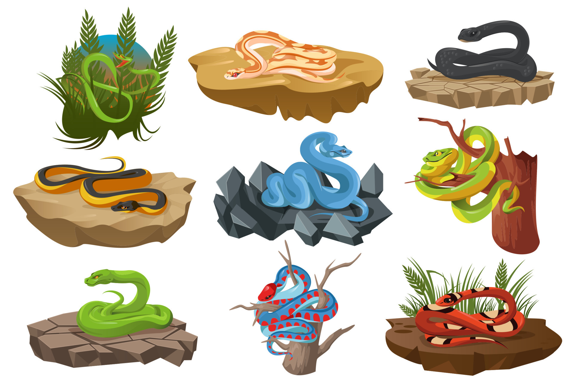 Snakes, serpents, python, black mamba 14718521 Vector Art at Vecteezy