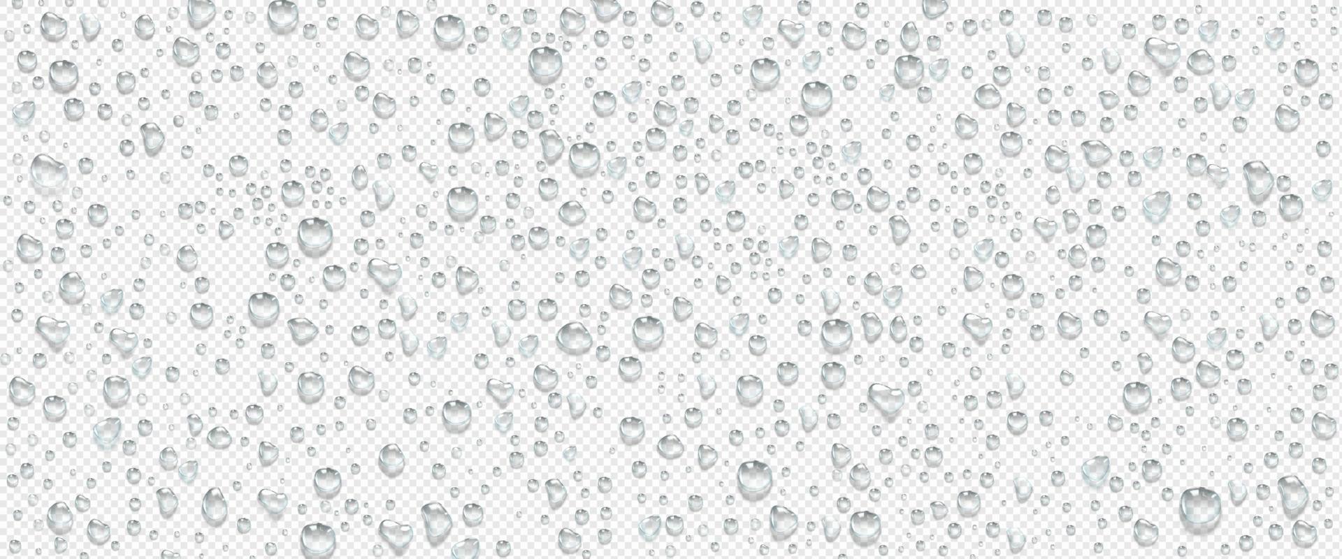 Condensation water drops on transparent background vector