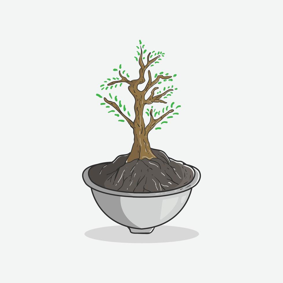 plant and bowl illustration vector