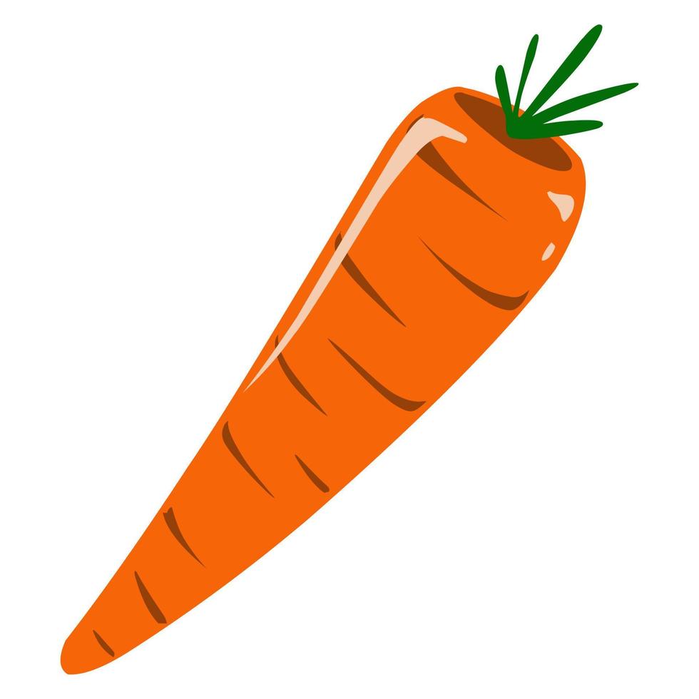 The cartoon carrot design is suitable for logos, icons, stickers and so on vector