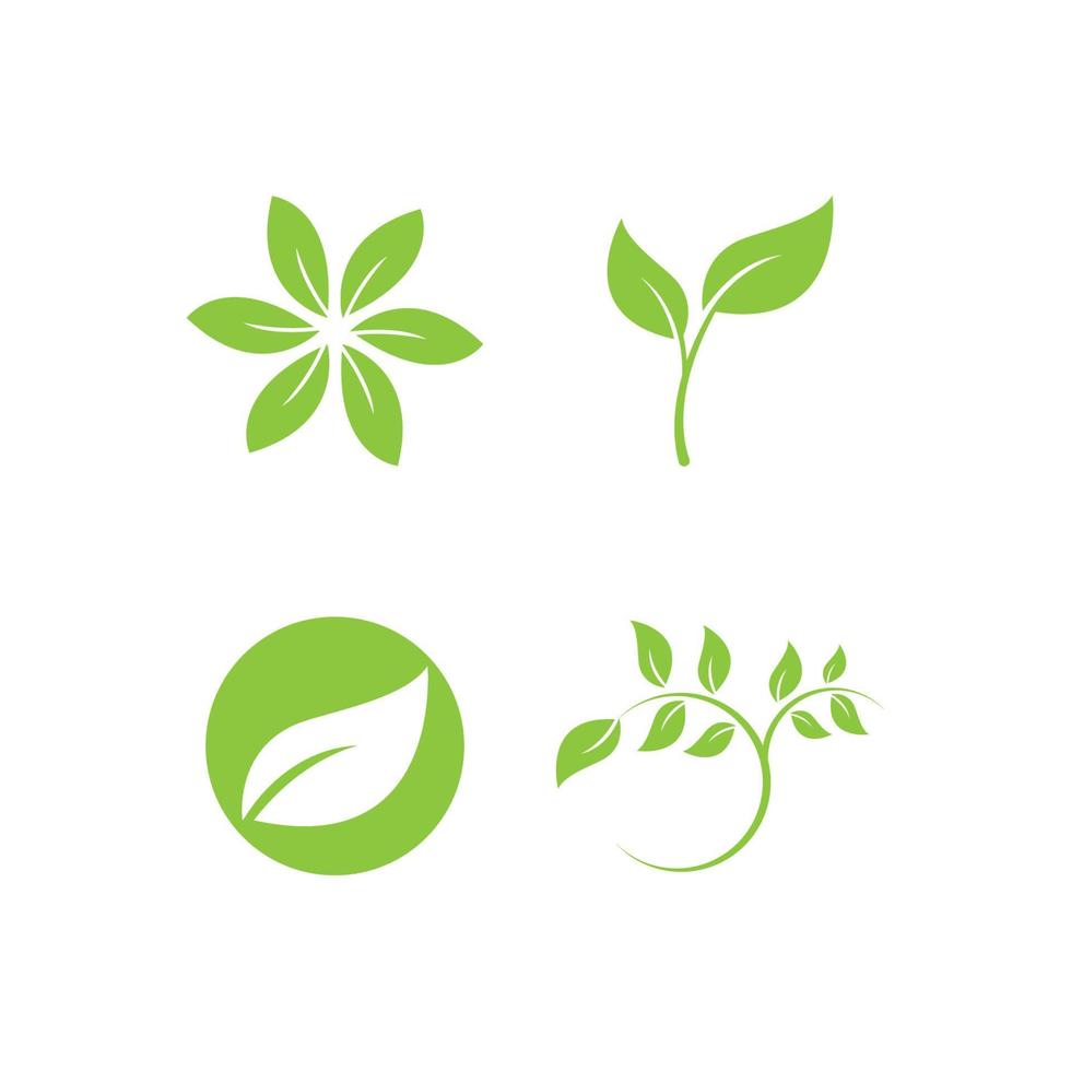 green leaf logo vector