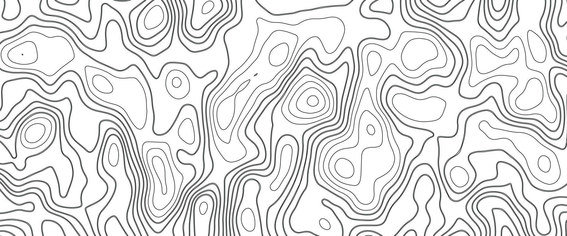 fondo de mapa topográfico abstracto. fondo de mapa topográfico abstracto. imitación de un mapa geográfico. diseño conceptual del mapa geográfico. fondo elegante para presentaciones vector