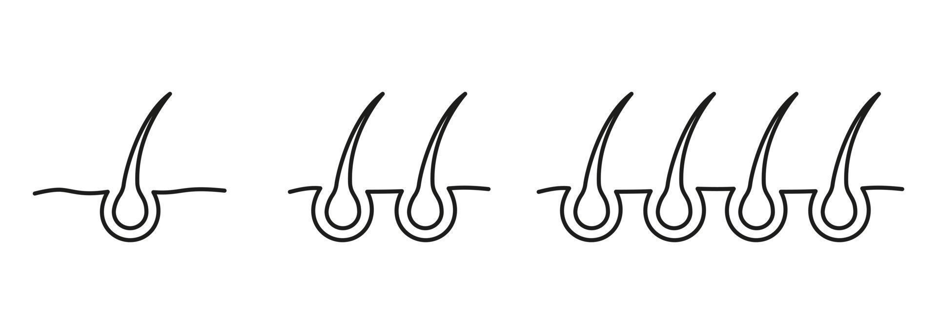 Hair Bulb Line Icon Set. Structure of Man or Woman Follicle Outline Icon. Hair Transplantation and Bulb for Science or Dermatology Icon. Editable Stroke. Isolated Vector Illustration.