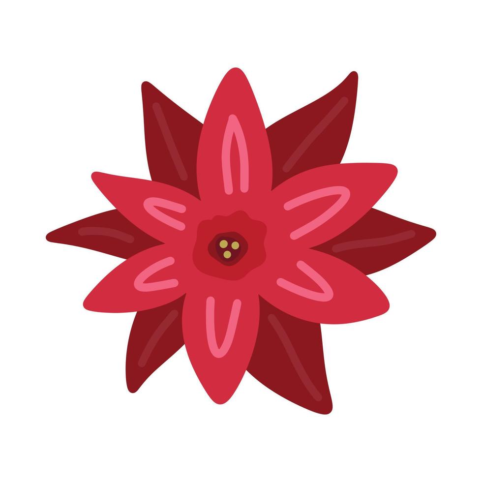 Poinsettia Christmas Star red flower - simple hand draw flat doodle. Vector illustration. Festive winter flower clip art element isolated on white