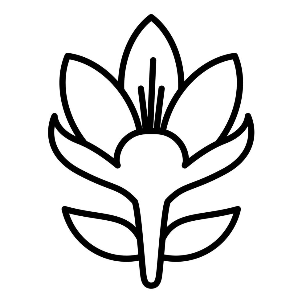 Crocus Line Icon vector