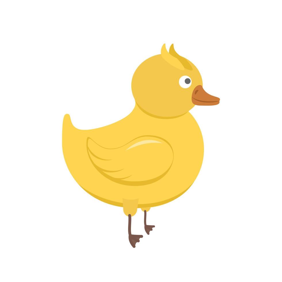 duckling animal vector illustration icon image