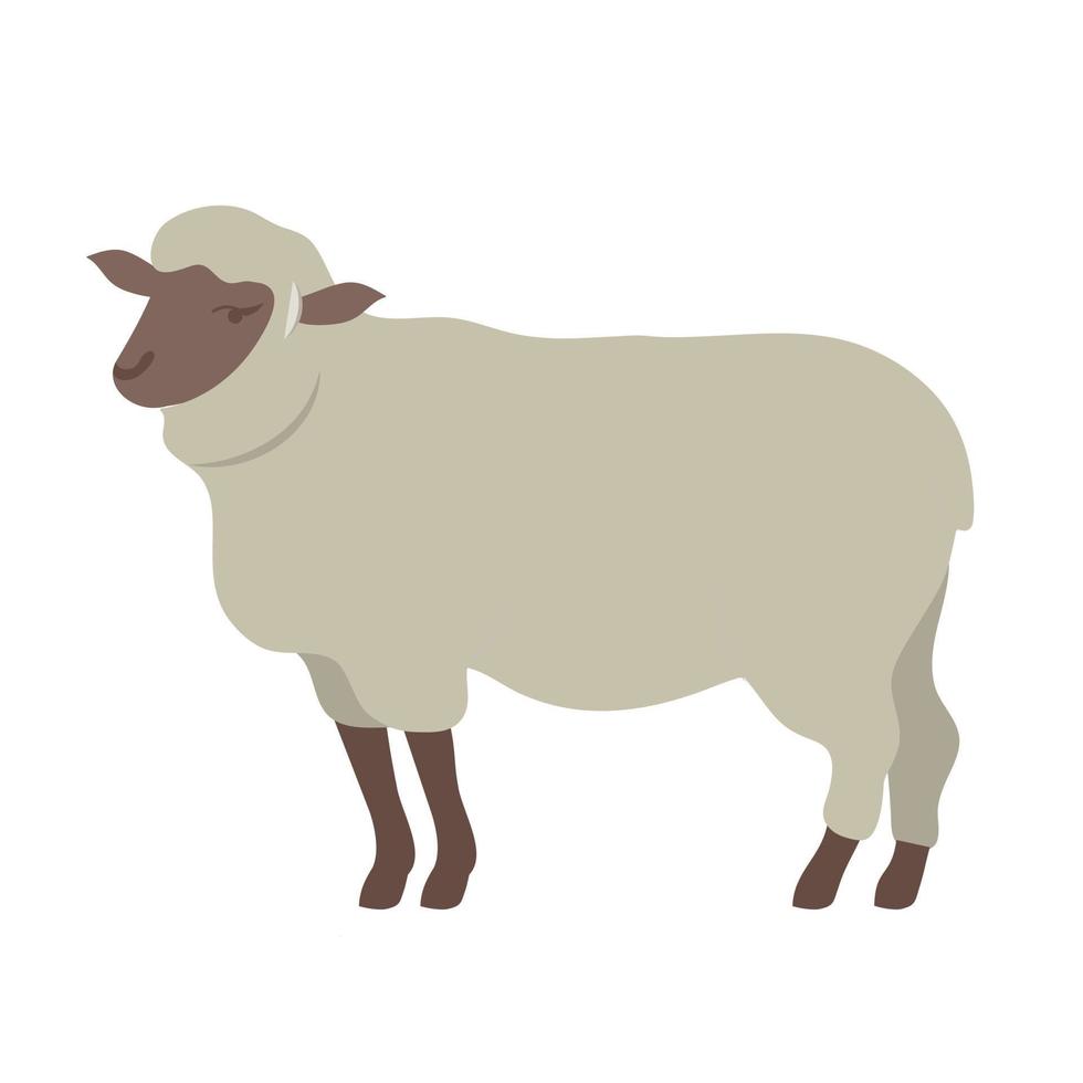 white sheep animal vector illustration icon