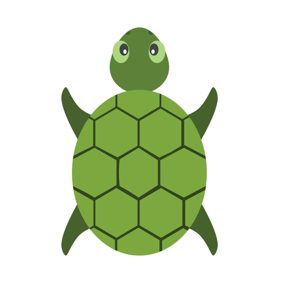 tortoise animal vector illustration icon image