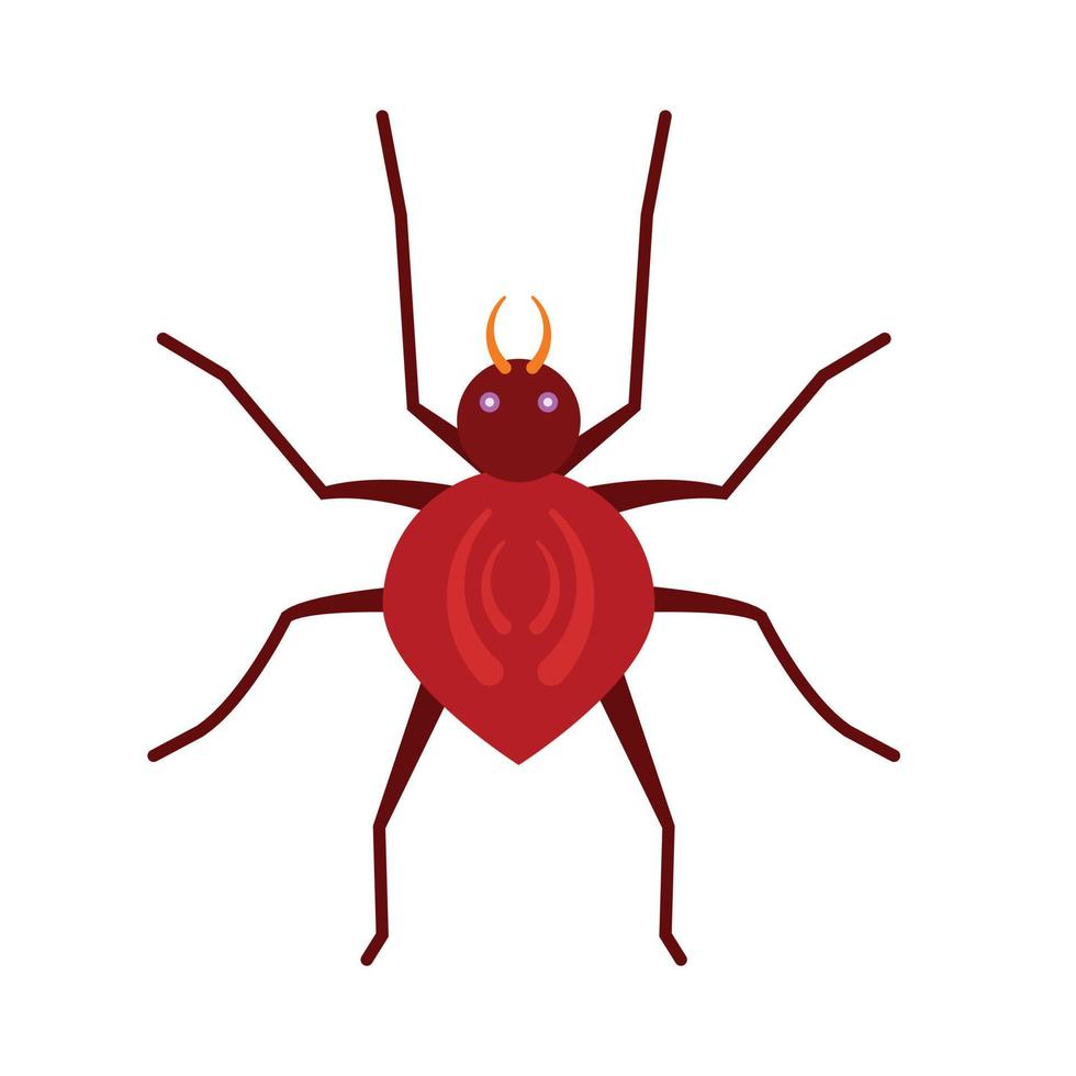 spider animal vector illustration icon image