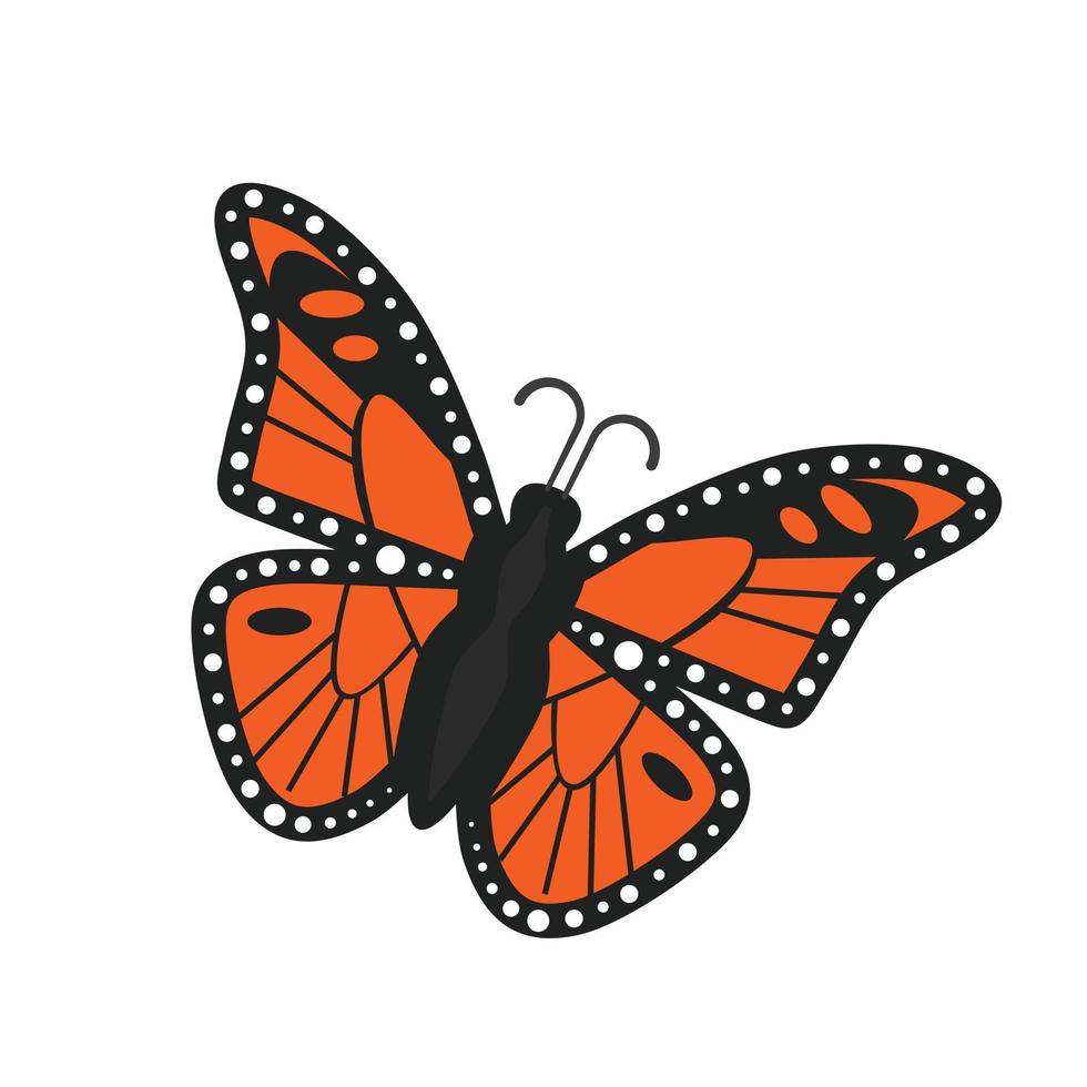 butterfly animal vector illustration icon image