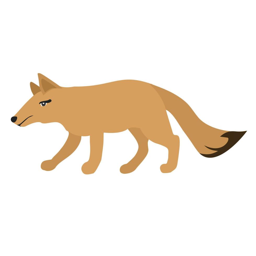 fox animal vector illustration icon image
