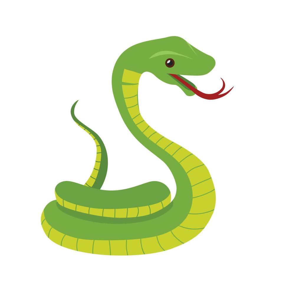 green snake animal vector illustration icon image