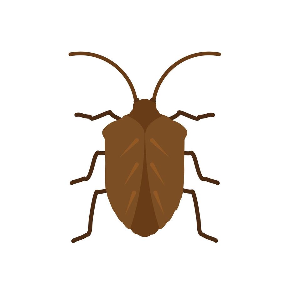 stink bug animal vector illustration icon