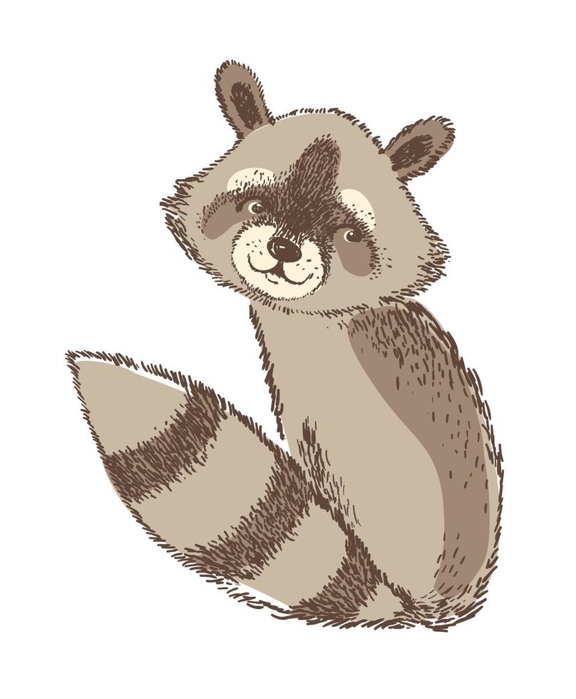 Vector illustration of cute raccoon. Isolated element for design.