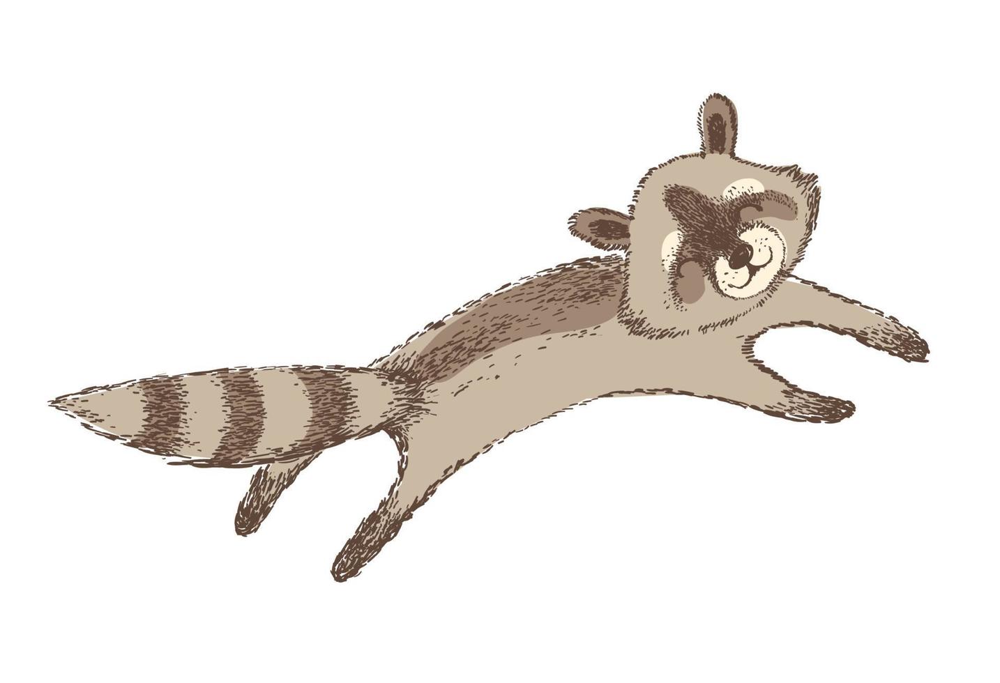 Vector illustration of cute raccoon. Isolated element for design.