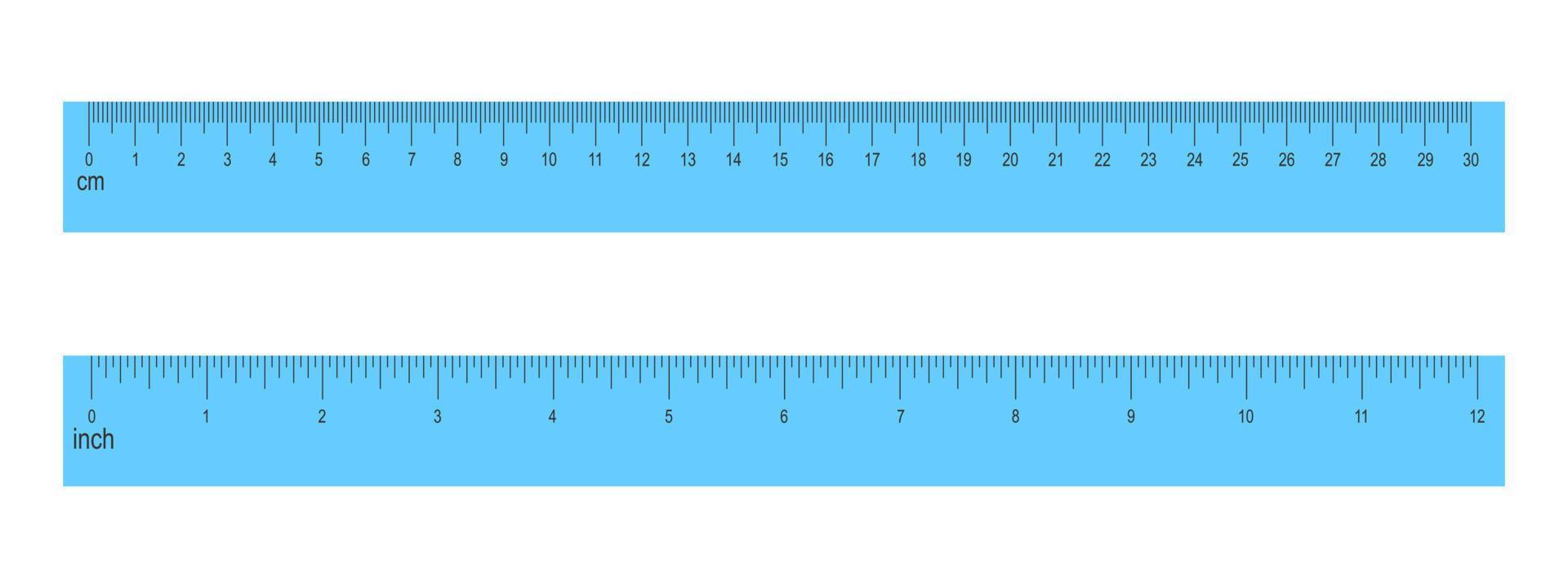 Reglas azules de 30 centímetros y 12 pulgadas aisladas sobre fondo blanco. herramienta matemática o geométrica para la medición de distancia, altura o longitud con marcado y números vector