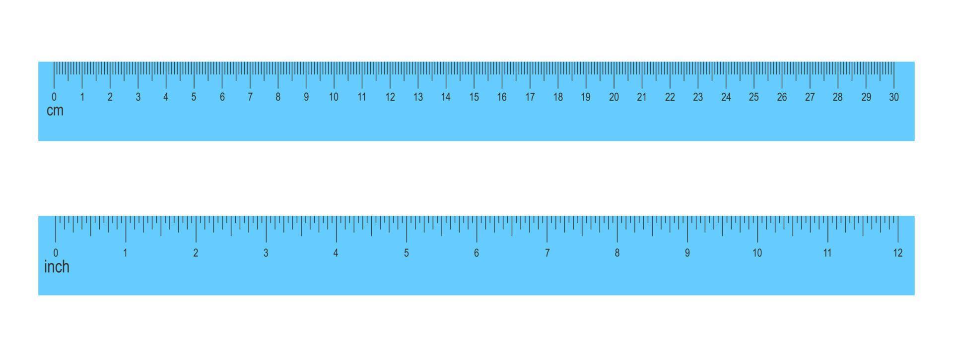 30 Centimeters And 12 Inches Blue Rulers Isolated On White Background 