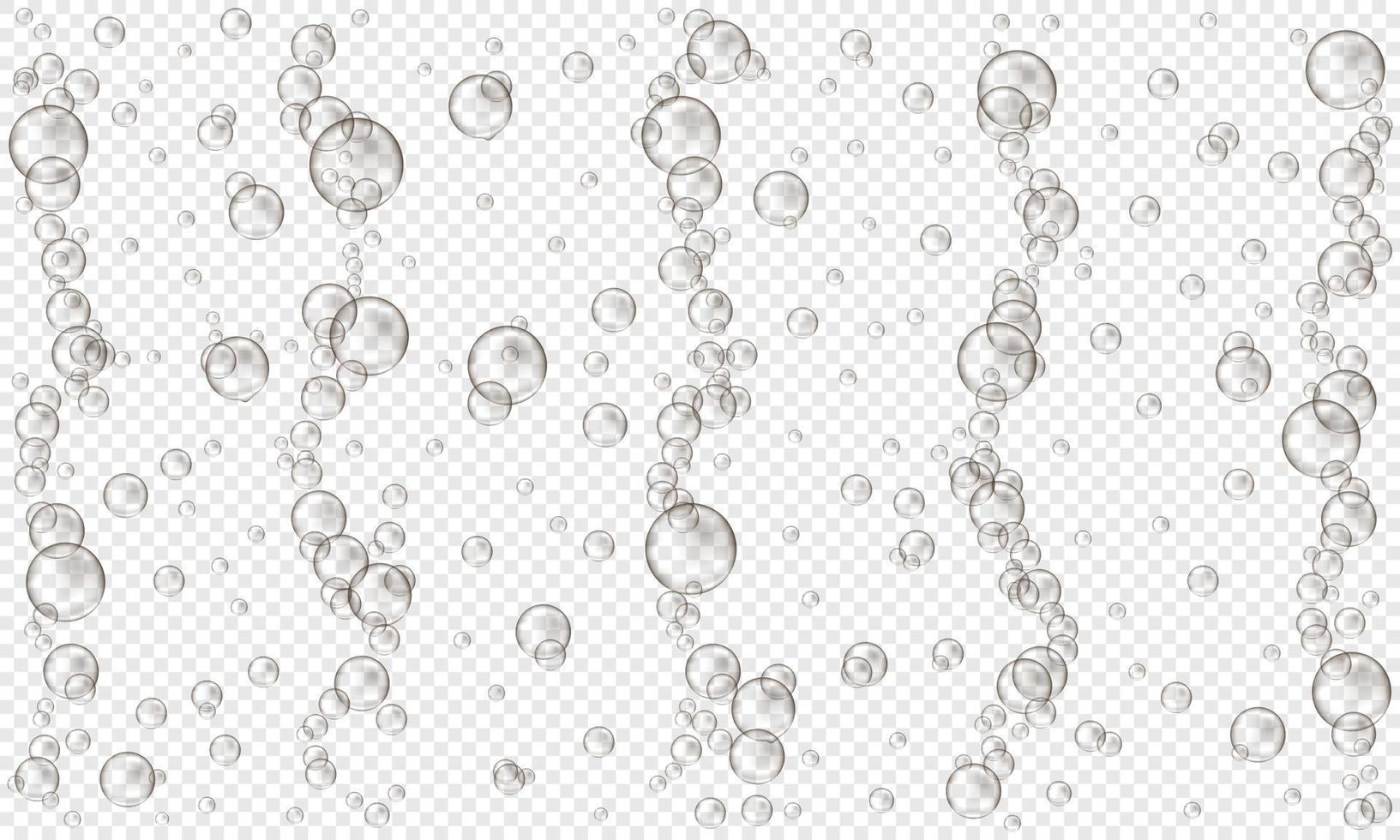 Oxygen bubbles on transparent background. Fizzy carbonated drink, seltzer, beer, soda, cola, lemonade, champagne, sparkling wine texture. Sea or aquarium water stream vector