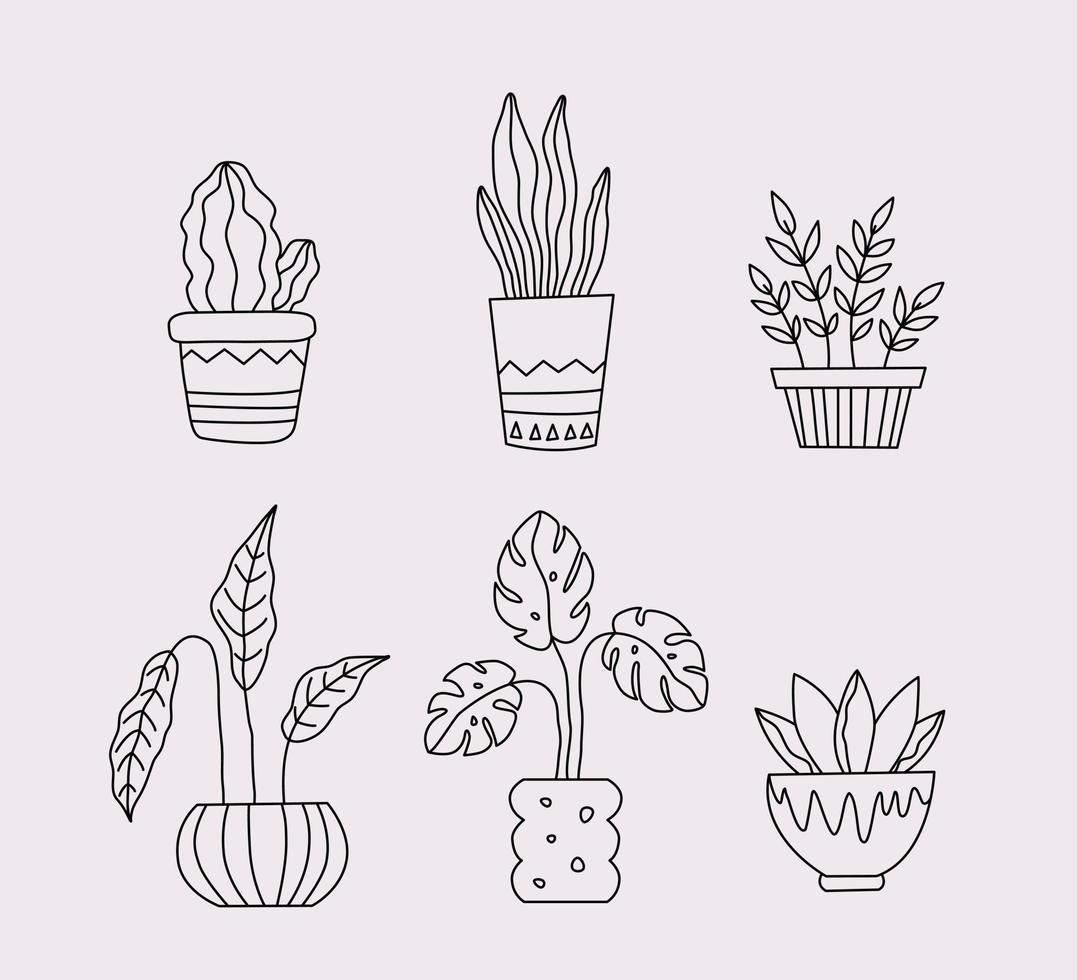 Set of home plants in Flowerpot. Outline drawing of houseplant in pot