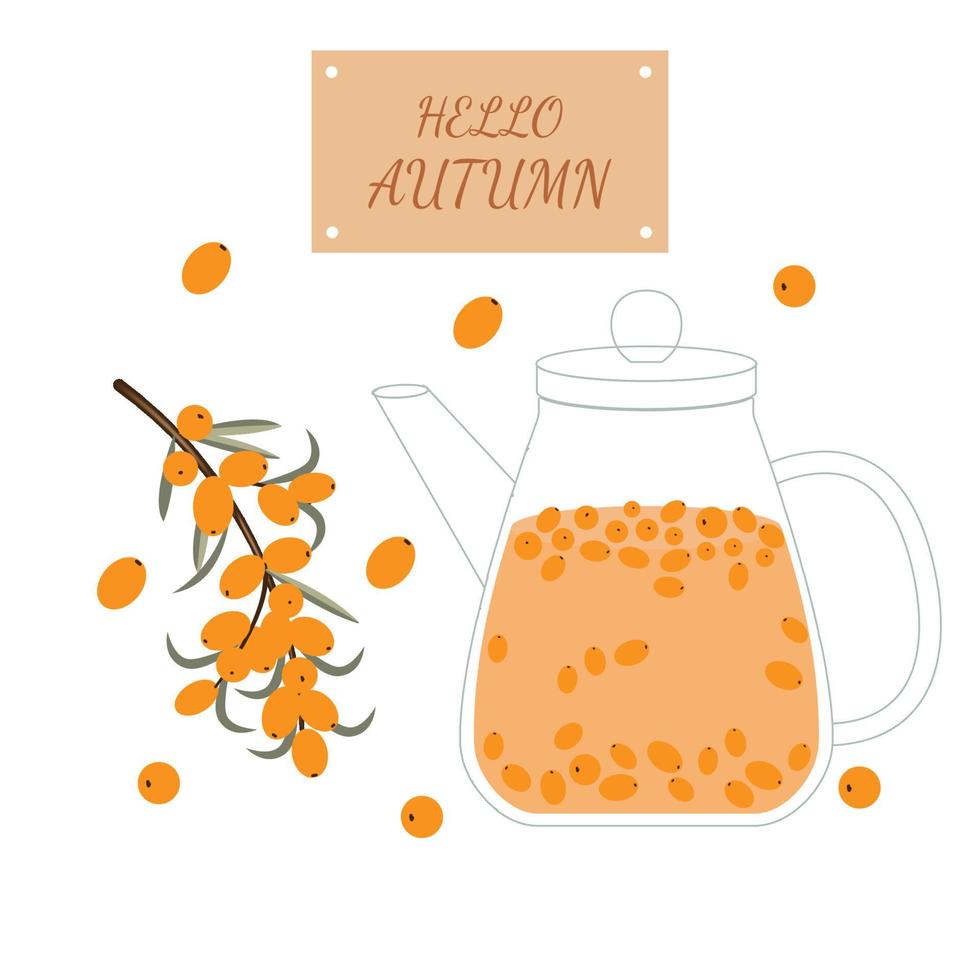 Sea buckthorn tea. Sea buckthorn with tea. Teapot vector