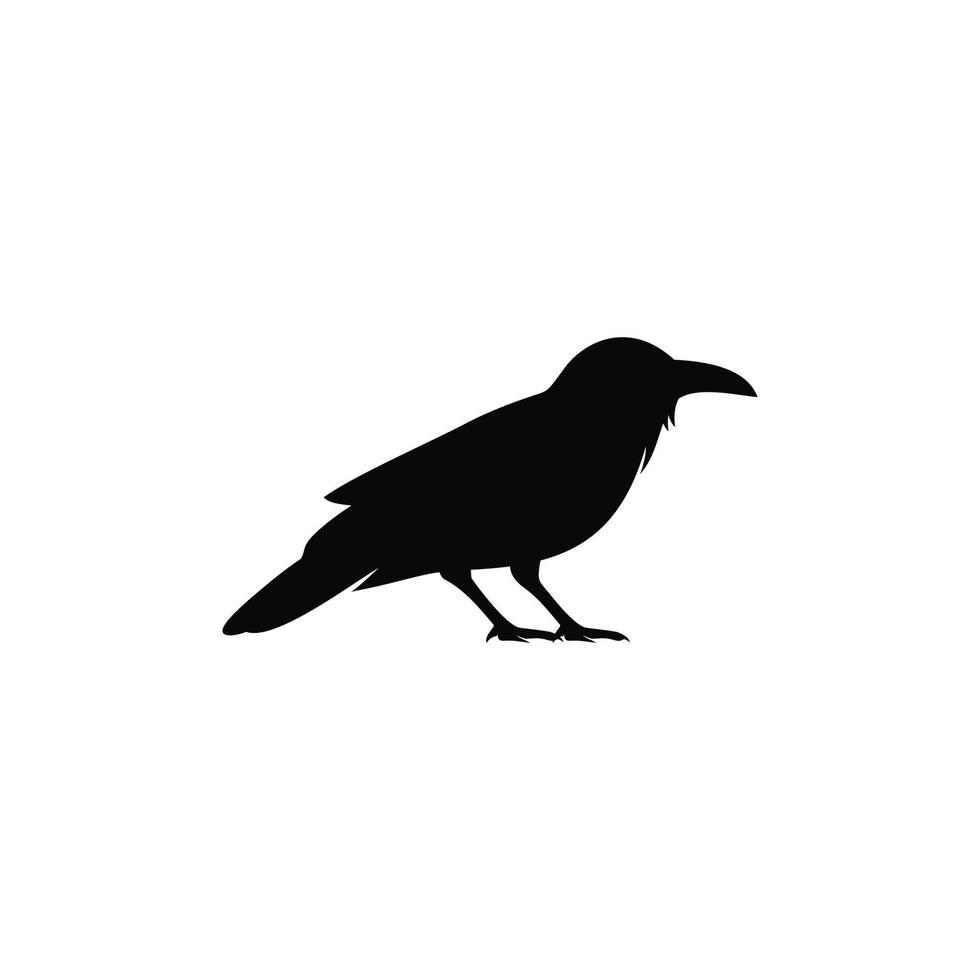 vector de icono plano simple cuervo