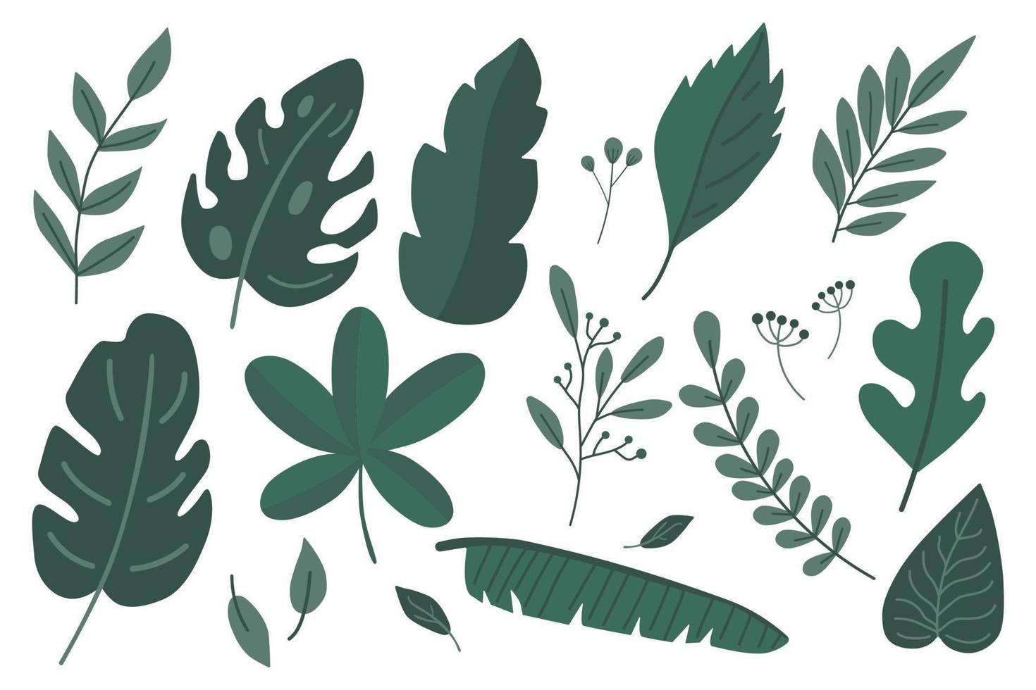 Set of green leaves flat vector isolated on white background. Tropical leaf by hand drawn.