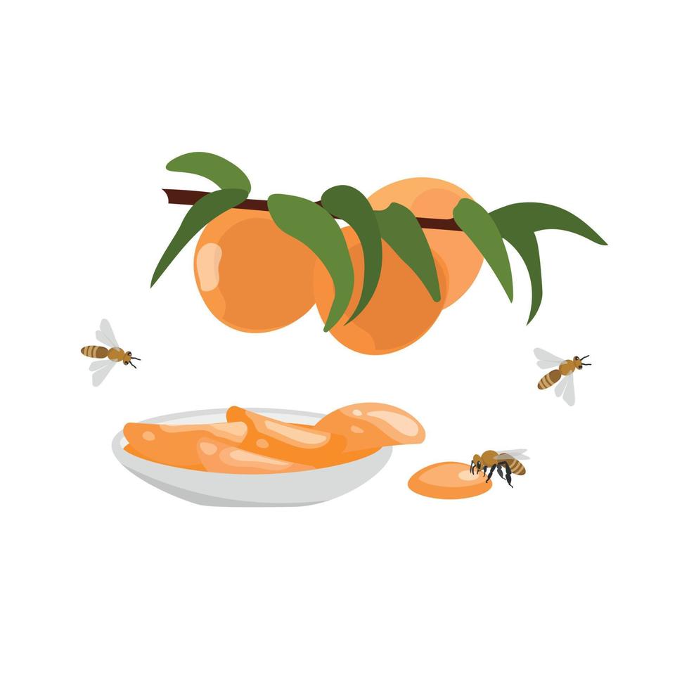 Peach jam, delicious fruit jam with fresh peaches on a plate. vector