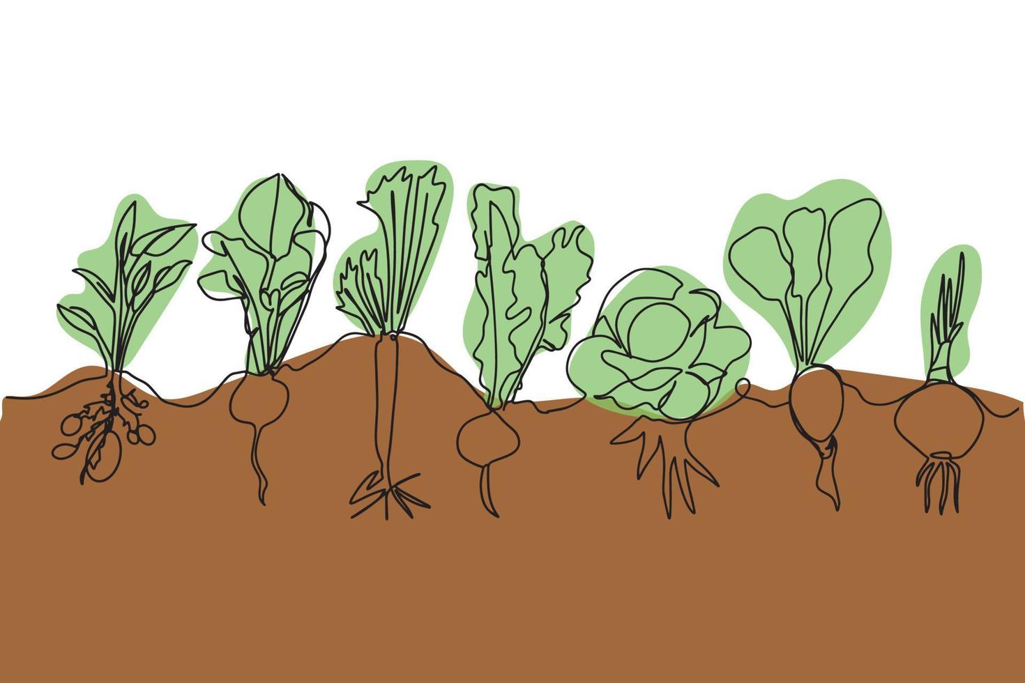 One line vector set of ripe vegetables, a sketch of a family of plants growing in the ground.