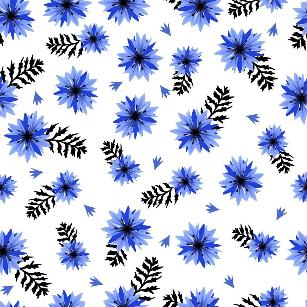 patrón floral transparente de acianos. vector