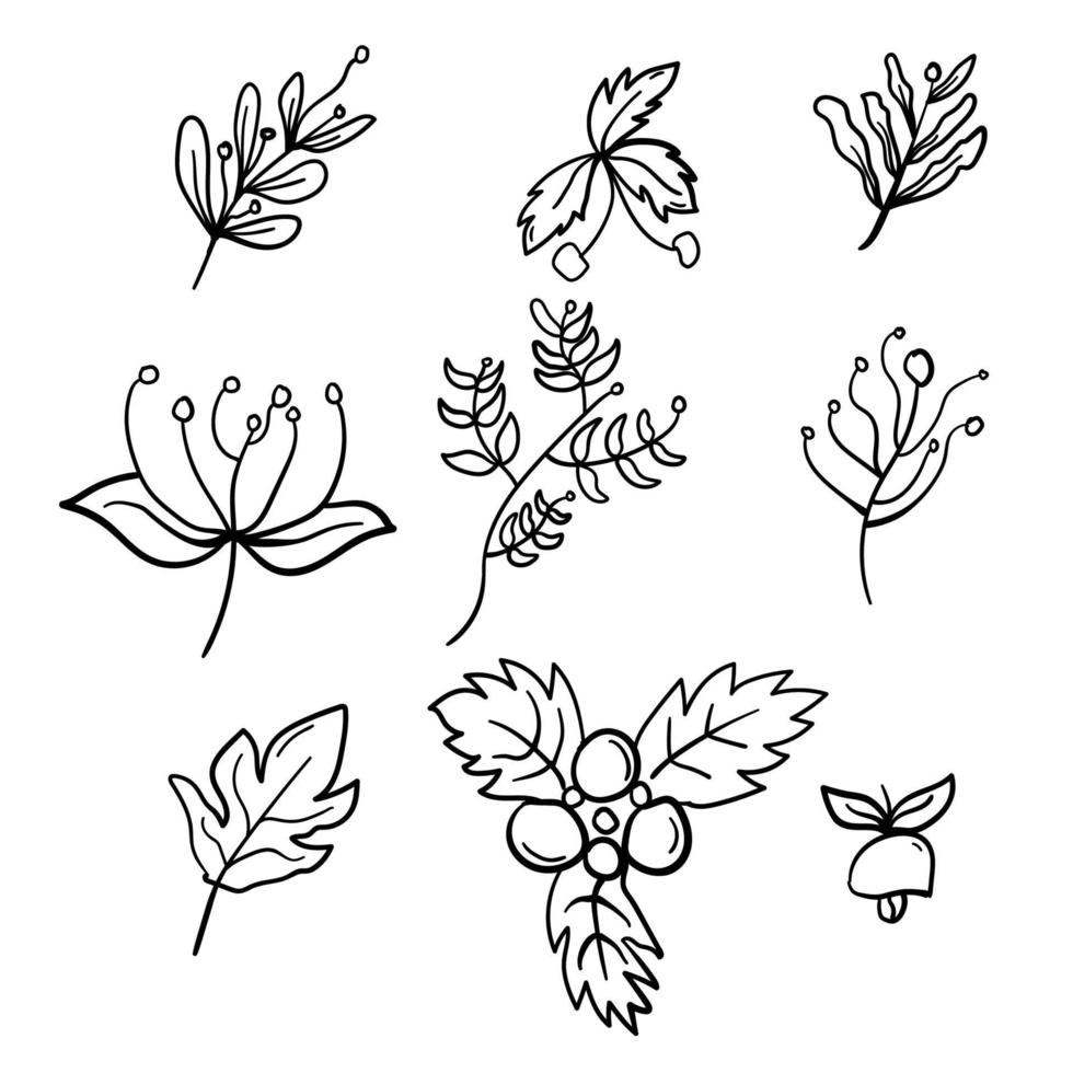 diseño de vector de adorno dibujado a mano de flores y hojas para navidad