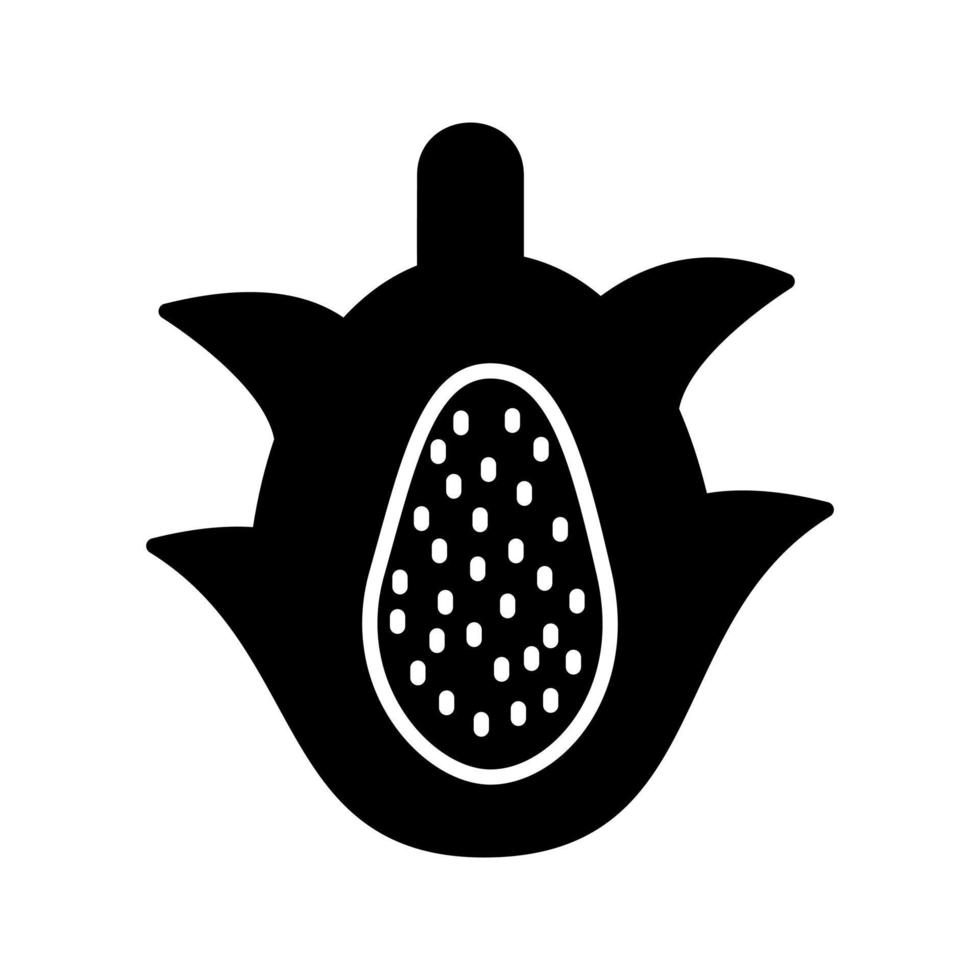 Dragon Fruit Vector Icon