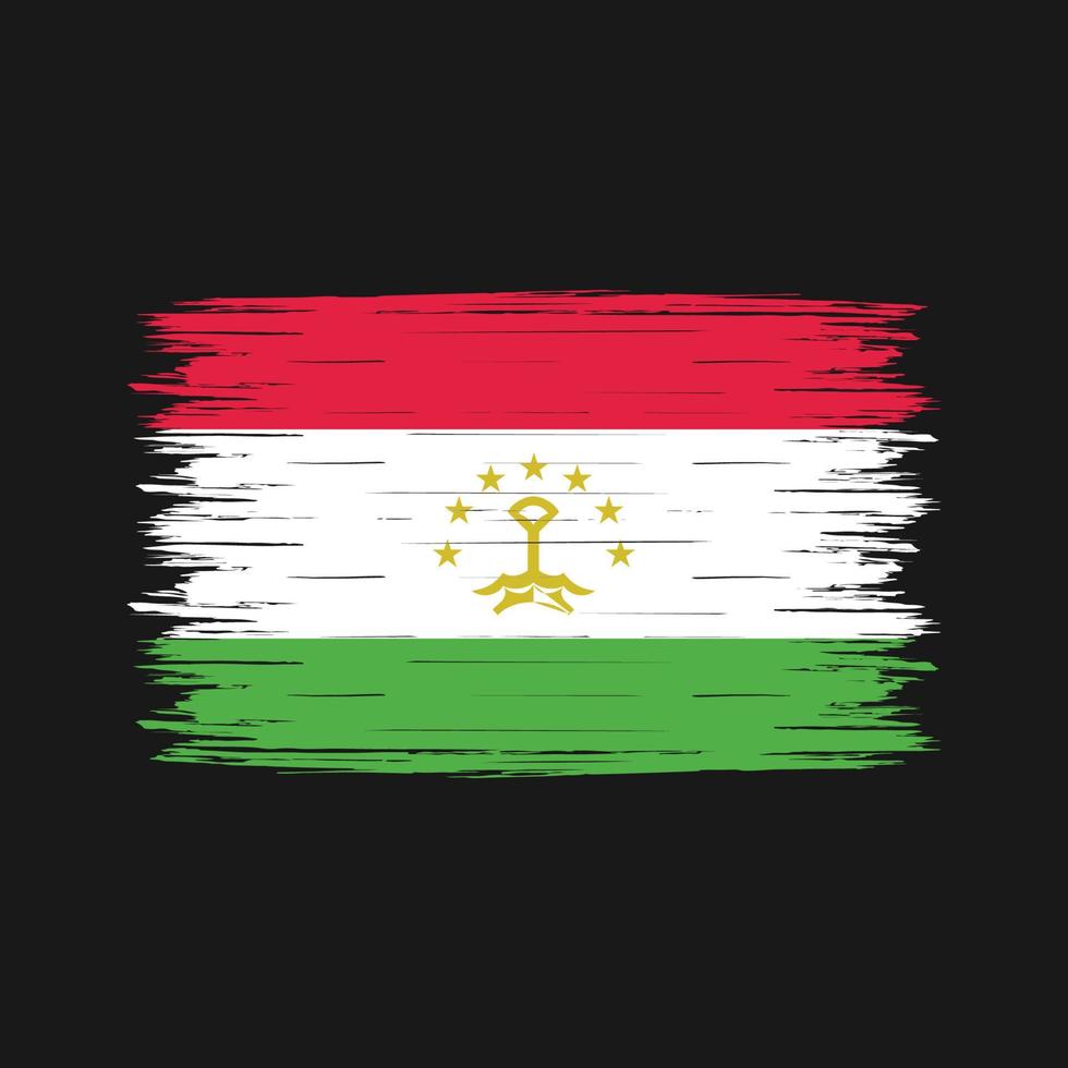 cepillo de bandera de tayikistán vector