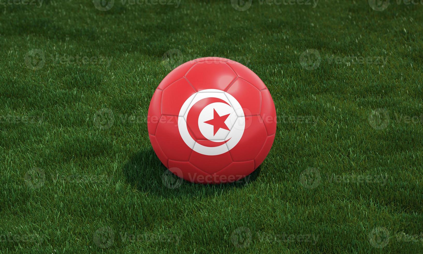 Soccer ball with Tunisia flag colors at a stadium on green grasses background. 3D illustration. photo