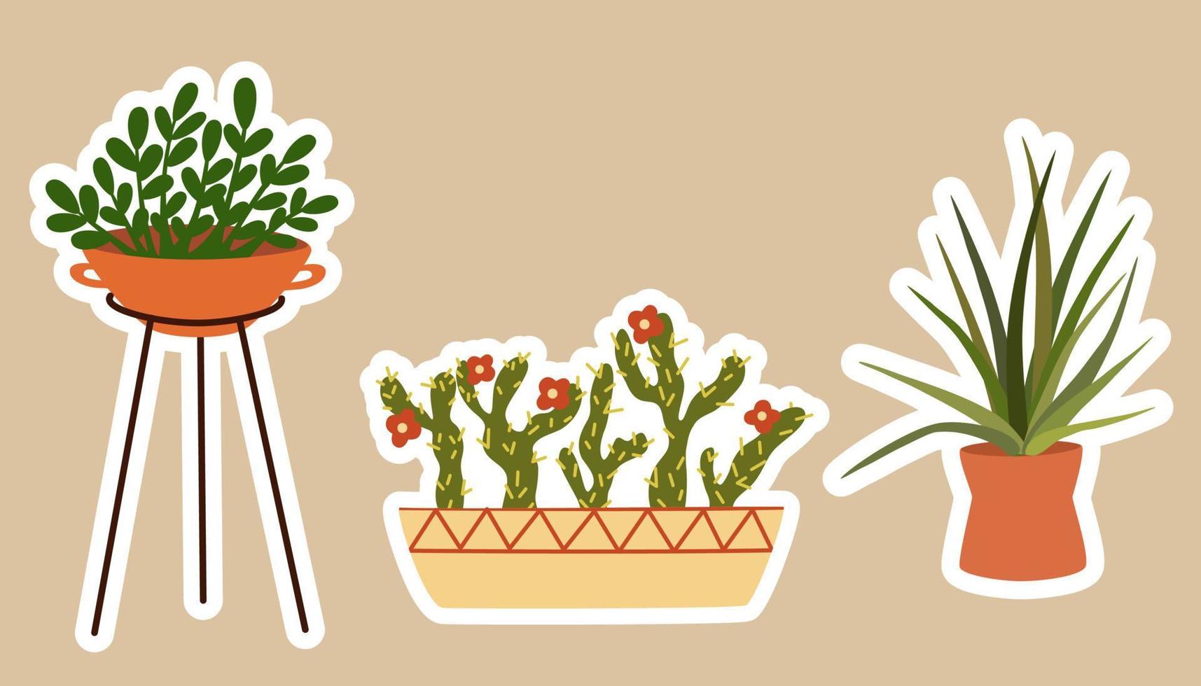 House plants stickers. Set of hygge tropical patee succulent plants stickers. Cozy lagom style collection of plants in cartoon style. Hand draw vector bundle.