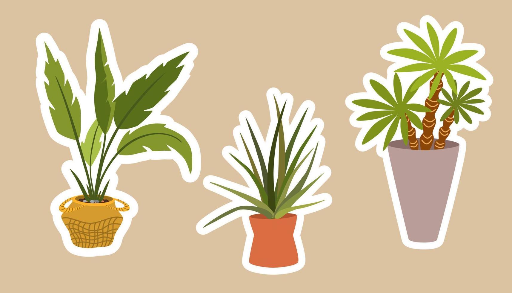 pegatinas de plantas de interior. conjunto de pegatinas de plantas suculentas de patee tropical hygge. acogedora colección de plantas estilo lagom en estilo de dibujos animados. paquete de vectores de dibujo manual.